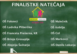 finalistke