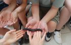 S sedmošolci smo obiskali živalski vrt