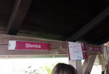 slivnica8