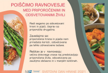 ravnovesje