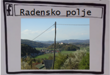 naslovnica_radensko-polje
